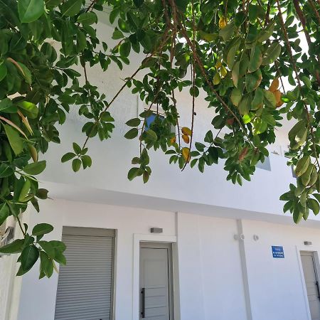 Sarri Appartments Amoudara Lasithiou Exteriér fotografie